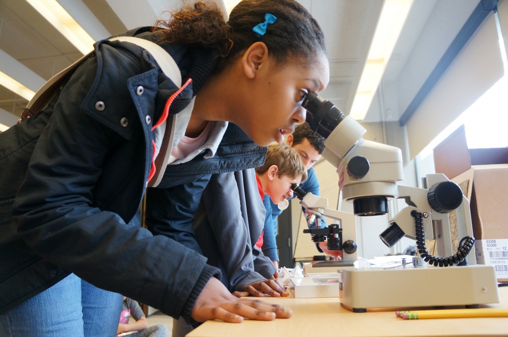 Students look at tissues and stains under microscopes to discover neurons and their structures.