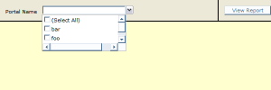 SSRS Report Viewer Parameters Dropdown (Before)