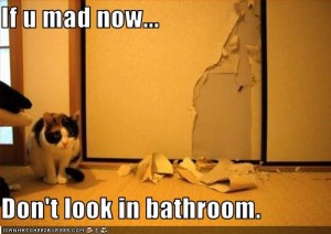 funny-pictures-cat-made-a-mess-in-the-bathroom