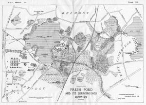 Map of Fresh Pond, c.1866, from The Birds of the Cambridge Region of Massachusetts; image provided by Charles Sullivan, Cambridge Historical Commission