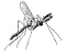 mosquito2f