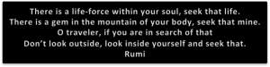 Rumi on Looking Inside