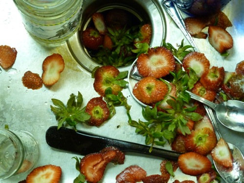 Strawberry carnage in my sink