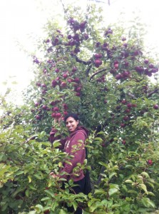 apple picking me in tree